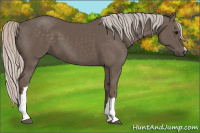 Horse Color:Silver Black 