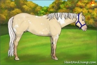 Horse Color:White Spotted Silver Classic Champagne Dun Frame 