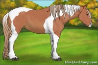 Horse Color:Watercolor Chestnut Tobiano 