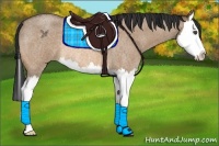 Horse Color:Bay Roan Dun Splash Rabicano