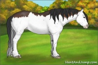 Horse Color:Brown Splash 