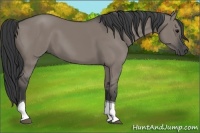 Horse Color:Grullo Tobiano