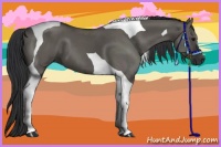 Horse Color:Grullo Tobiano 