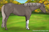 Horse Color:Silver Black 