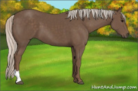 Horse Color:Silver Black 