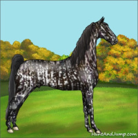 Horse Color:Brown Ice Splash  and Midnight Bay Ice 