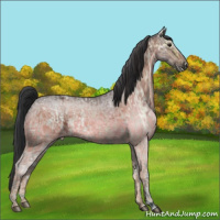 Horse Color:Bay Ice Roan Dun and Bay Ice