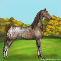 Horse Color:Bay Ice Roan Dun  and Chestnut Ice 