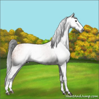 Horse Color:Gray Void Bay Ice Dun  and Bay Ice Roan Splash 
