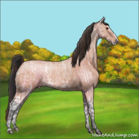 Horse Color:Chestnut Ice  and Bay Ice Roan Splash 