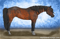 Horse Color:Black  and Brown 