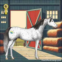 Horse Color:Grullo Splash Appaloosa 
