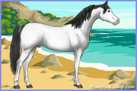 Horse Color:Black Splash Rabicano