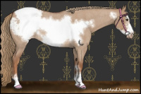 Horse Color:Red Dun Roan Sabino Frame Snowcap Rabicano 
