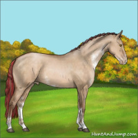 Horse Color:Painted Brown Pearl Dun Sabino