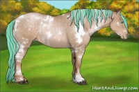Horse Color:Painted White Spotted Silver Buckskin Pearl Sabino Rabicano 