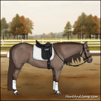Horse Color:Liver Chestnut Sabino 