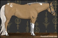Horse Color:Silver Smoky Black Tobiano Varnish 