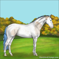 Horse Color:Painted Silver Bay Dun Splash Tobiano Varnish 
