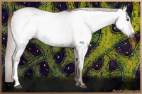 Horse Color:Gray Chestnut 