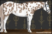 Horse Color:Liver Red Dun Roan Splash Near Leopard Rabicano 