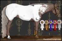 Horse Color:Chocolate Silver Black Snowcap