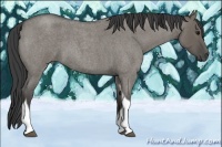Horse Color:Smoky Grullo Roan Tobiano 