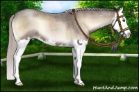 Horse Color:Silver Brown Roan Onyx Splash