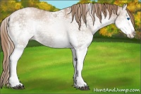 Horse Color:Liver Red Ice Roan Pearl Splash Tobiano 