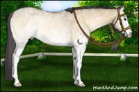 Horse Color:White Spotted Buckskin Roan Onyx Rabicano