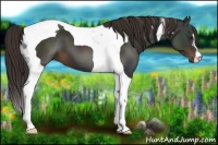 Horse Color:Liver Chestnut Tobiano 