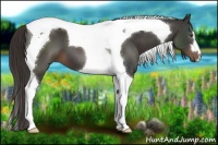 Horse Color:Liver Chestnut Tobiano 