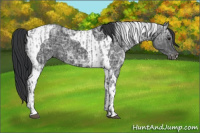 Horse Color:Blue Ice Roan  and Black Ice Tobiano 