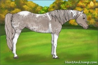 Horse Color:Silver Black Ice Tobiano 