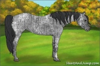 Horse Color:Blue Ice Roan  and Blue Ice Roan 