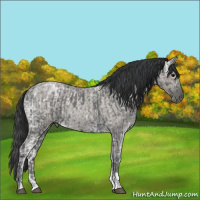 Horse Color:Blue Ice Roan and Grullo Ice Roan
