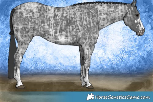 Horse Color:Blue Ice Roan and Black Ice