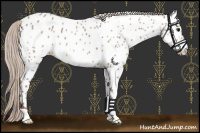 Horse Color:Chocolate Silver Blue Roan Near Leopard 
