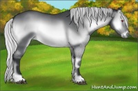 Horse Color:Silver Brown Chinchilla Roan Onyx 