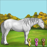 Horse Color:White Spotted Blue Chinchilla Roan Pearl 