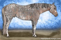 Horse Color:Blue Ice Roan and Silver Blue Ice Roan