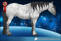 Horse Color:Blue Ice Roan  and Grullo Ice Roan 