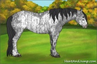 Horse Color:Blue Ice Roan  and Blue Ice Roan Frame 