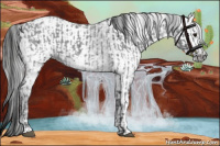 Horse Color:Blue Ice Roan and Gray Blue Ice Roan
