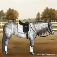 Horse Color:Liver Red Ice Roan Sabino and Blue Ice Roan Frame
