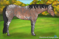 Horse Color:Blue Ice Roan  and Brown Ice Roan 