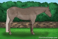 Horse Color:Silver Black 