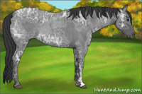 Horse Color:Blue Ice Roan  and Blue Ice Roan 