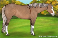 Horse Color:Silver Brown Dun Sabino Splash