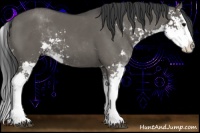 Horse Color:Grullo Sabino Splash